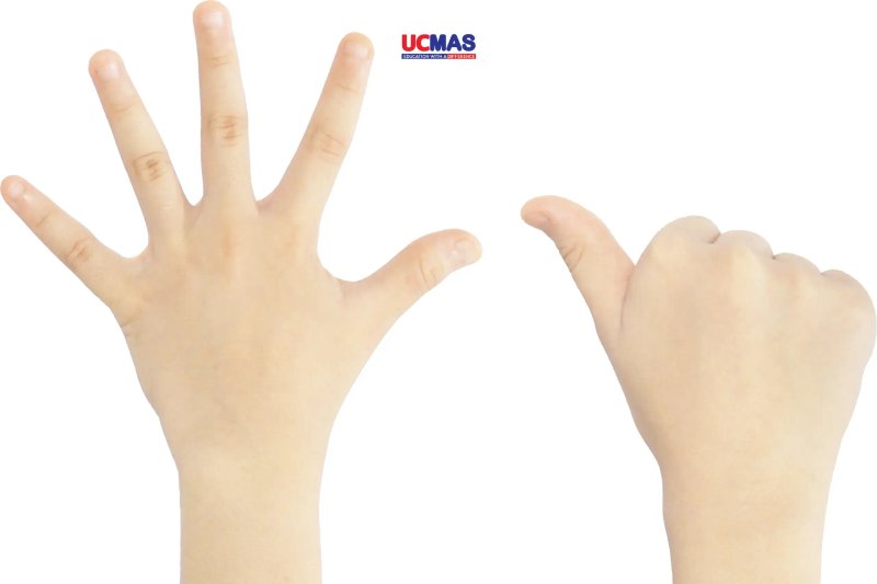 hoc-toan-tu-duy-3-phuong-phap-ucmas-finger-math-soroban-so-sanh-chi-tiet-doctruyenngontinh-org-5-2